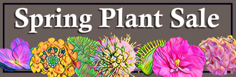 spring plant sale