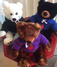 GEG love bears