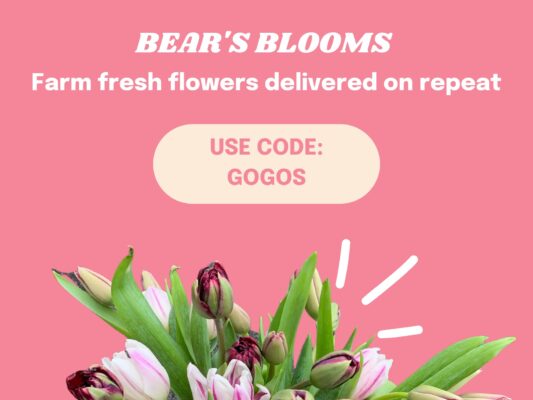 fresh flowers bears blooms